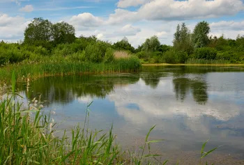 Lake reflection.jpg